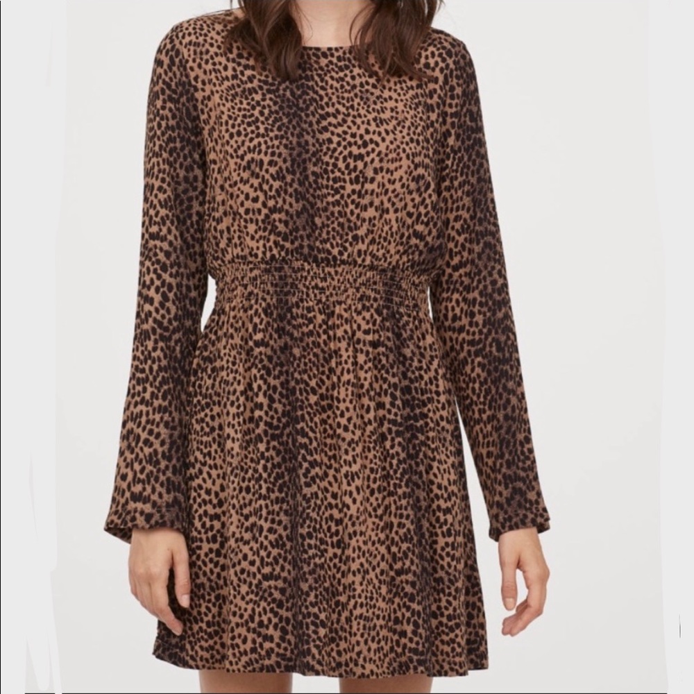 H&M Leopard Print Dress